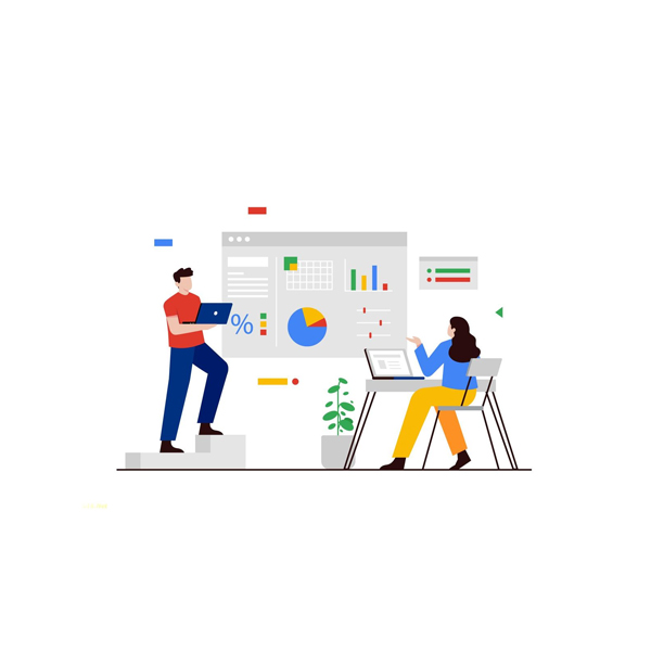 Custom Reporting & Analytics